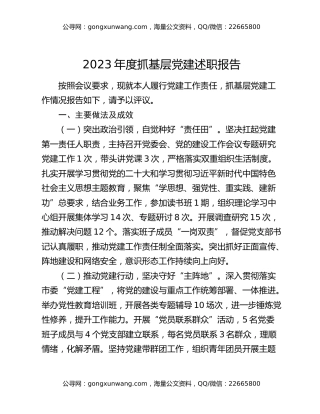 2023年度抓基层党建述职报告