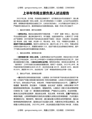 上半年市局主要负责人述法报告