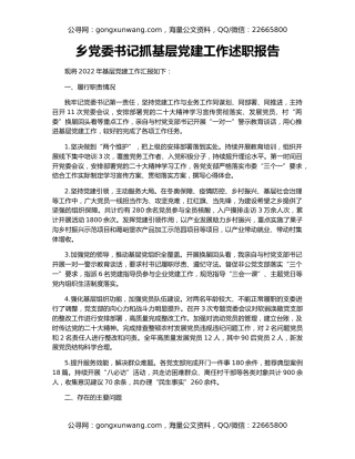 乡党委书记抓基层党建工作述职报告
