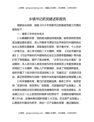 乡镇书记抓党建述职报告