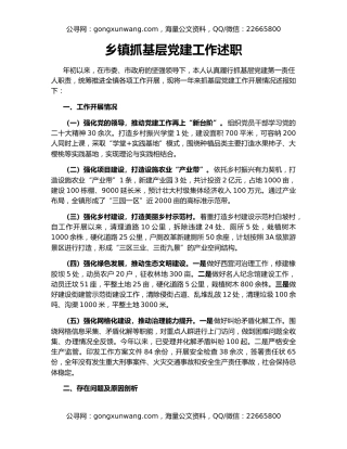 乡镇抓基层党建工作述职