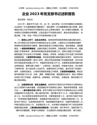 企业2023年党支部书记述职报告