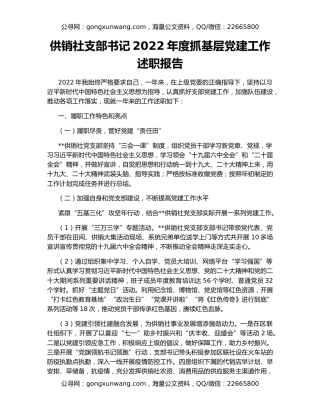 供销社支部书记2022年度抓基层党建工作述职报告