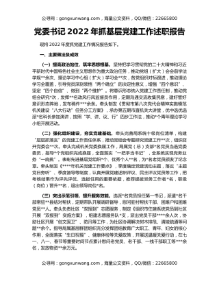 党委书记2022年抓基层党建工作述职报告
