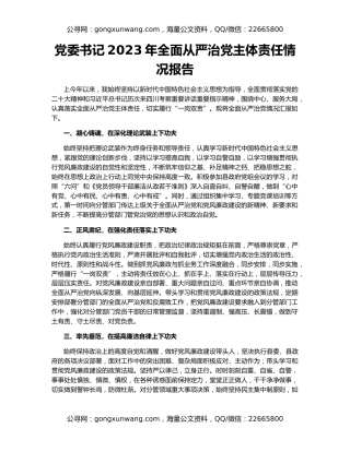 党委书记2023年全面从严治党主体责任情况报告