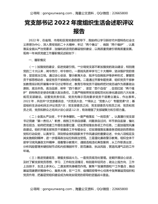 党支部书记2022年度组织生活会述职评议报告