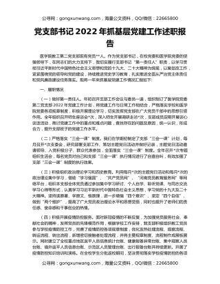 党支部书记2022年抓基层党建工作述职报告（3）