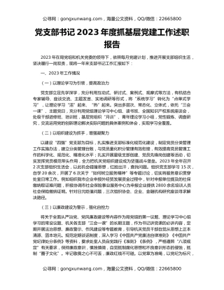 党支部书记2023年度抓基层党建工作述职报告