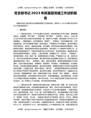 党支部书记2023年抓基层党建工作述职报告