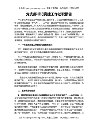 党支部书记党建工作述职报告