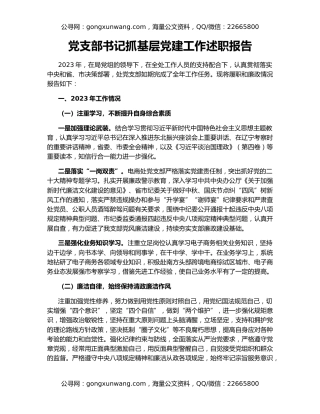 党支部书记抓基层党建工作述职报告