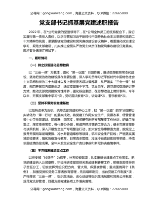 党支部书记抓基层党建述职报告