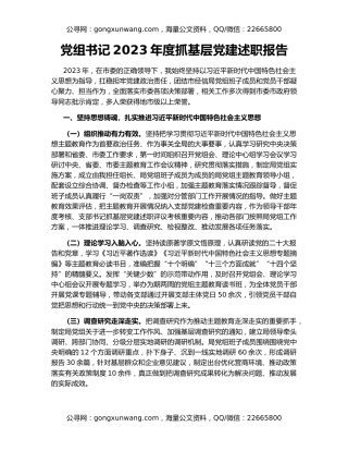 党组书记2023年度抓基层党建述职报告