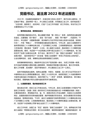 党组书记、副主席2022年述法报告