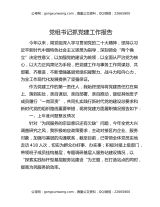 党组书记抓党建工作报告