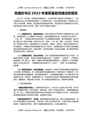 党组织书记2022年度抓基层党建述职报告