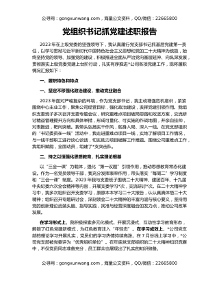 党组织书记抓党建述职报告