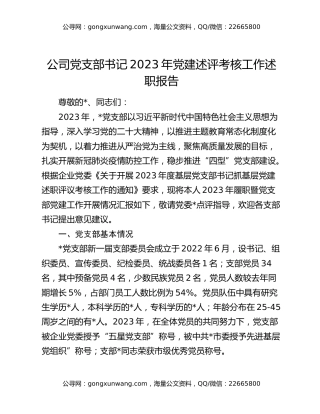公司党支部书记2023年党建述评考核工作述职报告