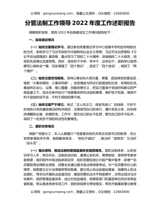 分管法制工作领导2022年度工作述职报告