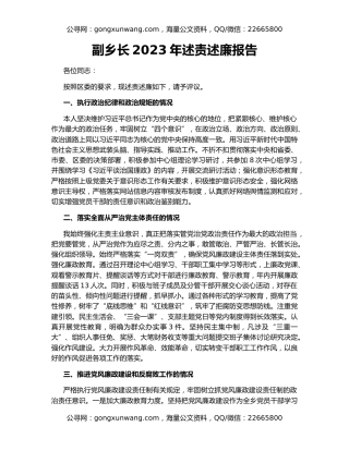副乡长2023年述责述廉报告