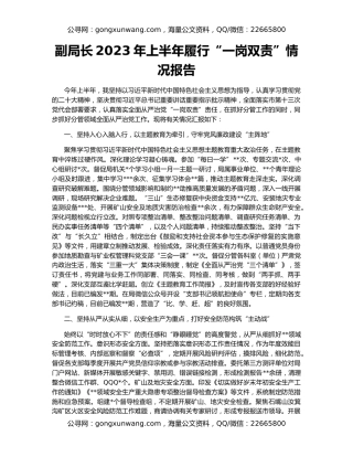 副局长2023年上半年履行“一岗双责”情况报告