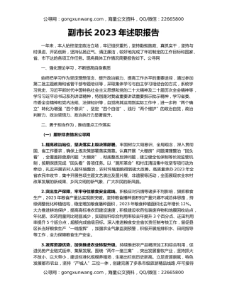 副市长2023年述职报告
