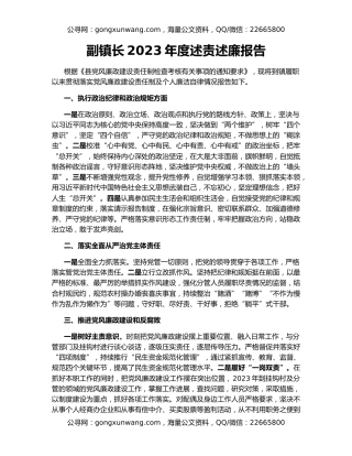 副镇长2023年度述责述廉报告