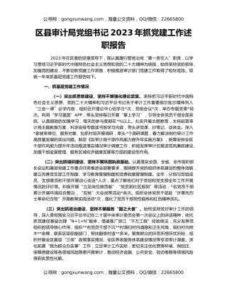区县审计局党组书记2023年抓党建工作述职报告