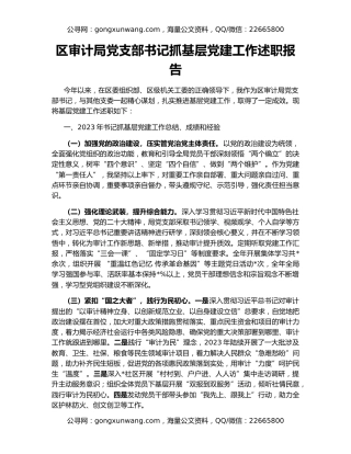 区审计局党支部书记抓基层党建工作述职报告