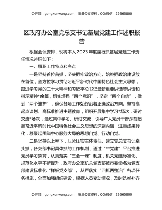 区政府办公室党总支书记基层党建工作述职报告