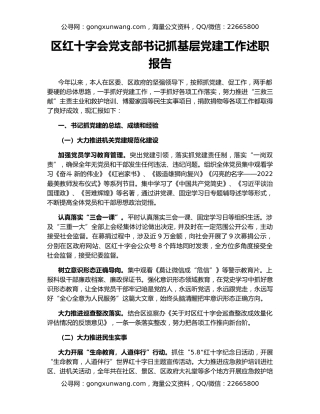区红十字会党支部书记抓基层党建工作述职报告