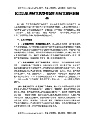 区综合执法局党总支书记抓基层党建述职报告