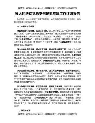 县人民法院党总支书记抓党建工作述职报告