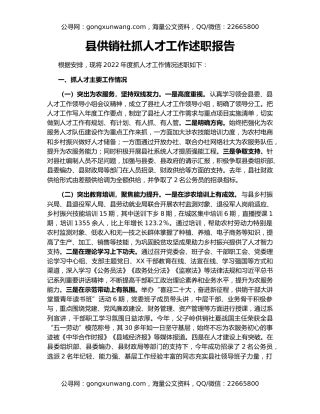 县供销社抓人才工作述职报告