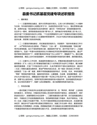 县委书记抓基层党建专项述职报告