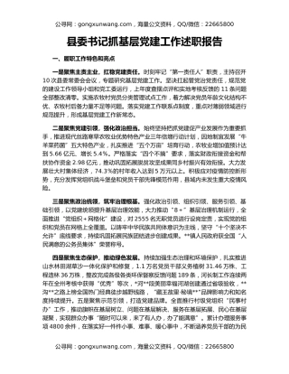 县委书记抓基层党建工作述职报告