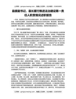 县委副书记、县长履行推进法治建设第一责任人职责情况述职报告