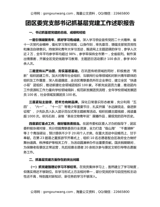 团区委党支部书记抓基层党建工作述职报告