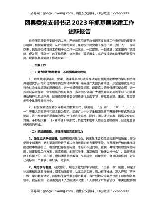 团县委党支部书记2023年抓基层党建工作述职报告
