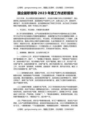 国企副职领导2023年度工作述职报告