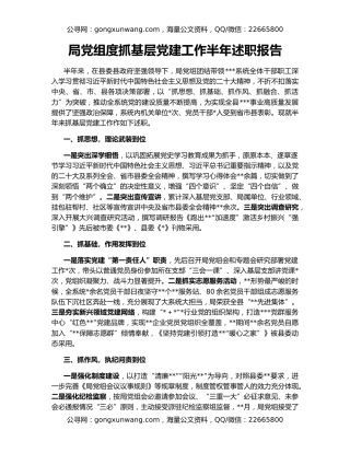 局党组度抓基层党建工作半年述职报告