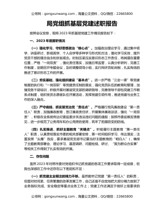 局党组抓基层党建述职报告