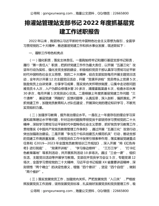 排灌站管理站支部书记2022年度抓基层党建工作述职报告