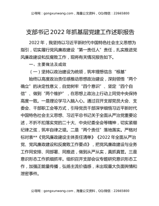 支部书记2022年抓基层党建工作述职报告（2）