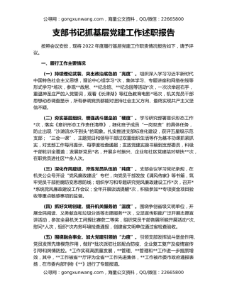 支部书记抓基层党建工作述职报告
