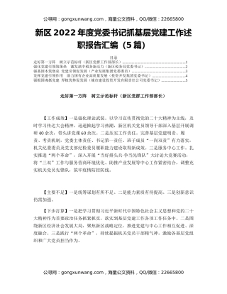 新区2022年度党委书记抓基层党建工作述职报告汇编（5篇）