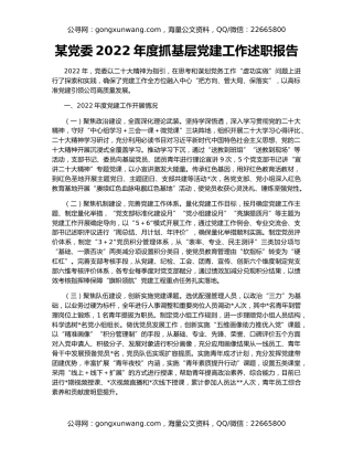 某党委2022年度抓基层党建工作述职报告