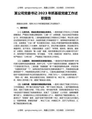 某公司党委书记2023年抓基层党建工作述职报告