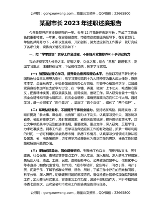 某副市长2023年述职述廉报告