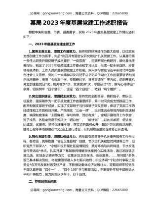某局2023年度基层党建工作述职报告